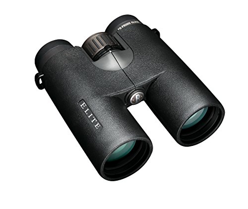Bushnell Elite 10x42 color negro