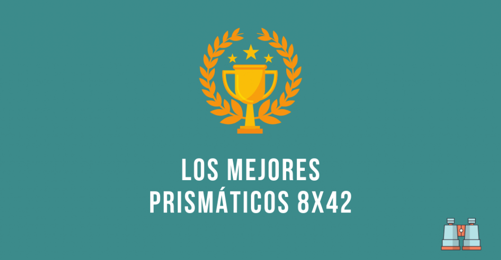 prismaticos 10x42